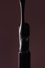 Cargar imagen en el visor de la galería, BIO GEL nº 324 L. A-Space Ghost Noir