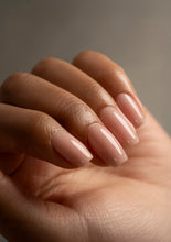 Cargar imagen en el visor de la galería, Gel Constructor Color Nº06 Wings 14ml / COLOUR BUILDER GEL