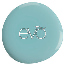 Cargar imagen en el visor de la galería, Evo Gel 107 Shanna 12ml.
